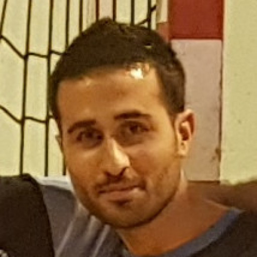 Steve Fernandes